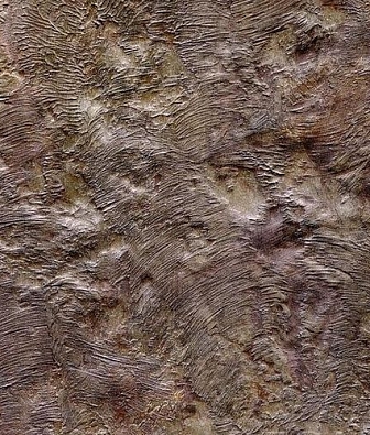 ���� Arlin Alchimia 300