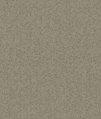 ���� Brewster Evolution 5 BWE05501