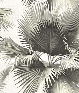 ���� KT-Exclusive Palm Springs ps40100