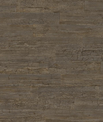 ���� Rasch Curiosity 537055