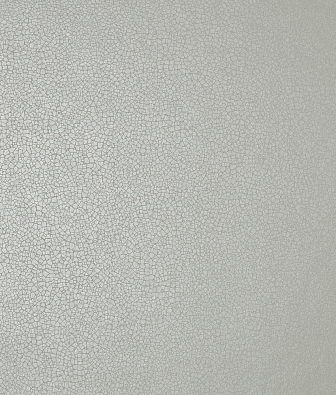 ���� 1838 Wallcoverings Elodie 1907-141-08