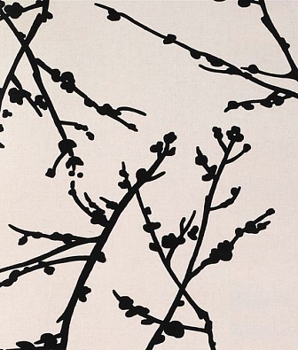 ���� Gaston y Daniela Origen GDW-4849-001