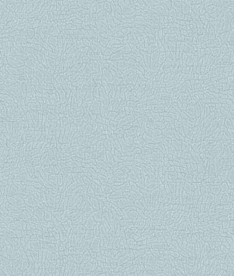  Alessandro Allori Breeze RDT2210-4