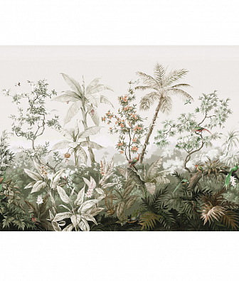 ���� Brewster New Creator 5 CBY086