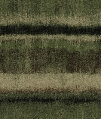 ���� Brewster Evolution 5 BWE05104