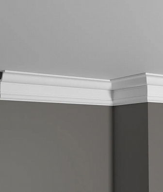 �������  DD501