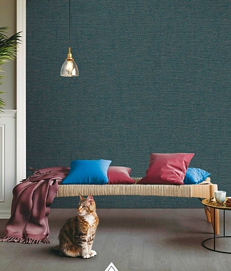 ���� Brewster Evolution 5 BWE05622