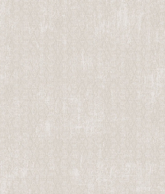 ���� Brewster Evolution 2 BWE02418