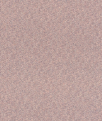  Emil&Hugo Oxford 089638