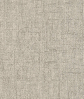  AS Creation Geo Effect 38596-5