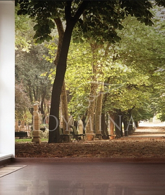 ���� Loymina Illusion DS 012