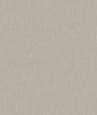 ���� Brewster Evolution 2 BWE02420