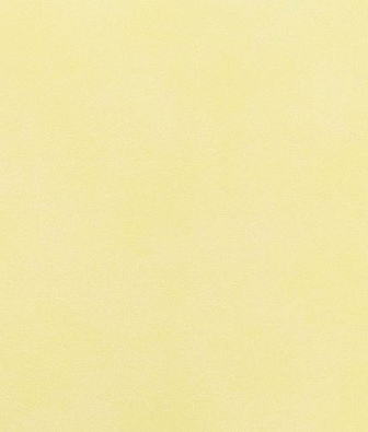 ���� Eijffinger United 331388