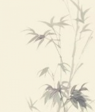 ���� Marburg Crush Motion 63479