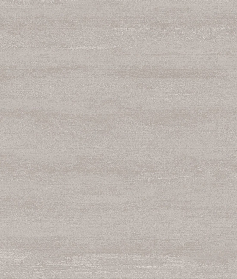 ���� Brewster Evolution 5 BWE05201