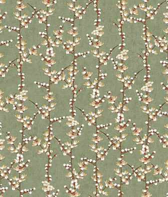  Aura Spring 1904-4