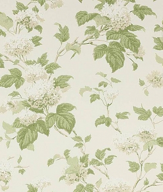  Colefax and Fowler Jardine Florals 07816/09