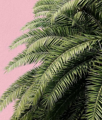 ���� Hygge Wall Collection 3 H11002