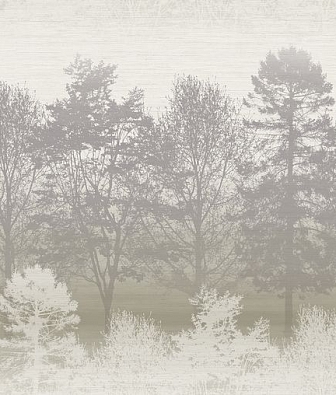 ���� Mayflower  Aerial fj090200