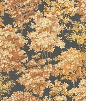 ���� Studio Italia Collection Mediolanum ME80006