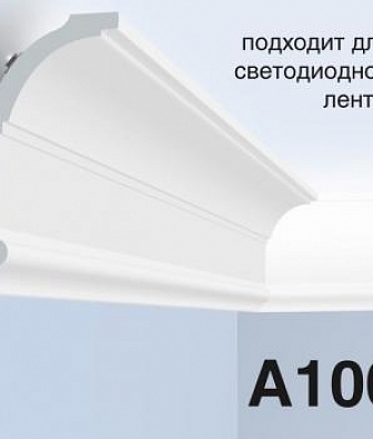   A100