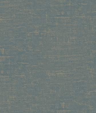 ���� Brewster Evolution 2 BWE02408