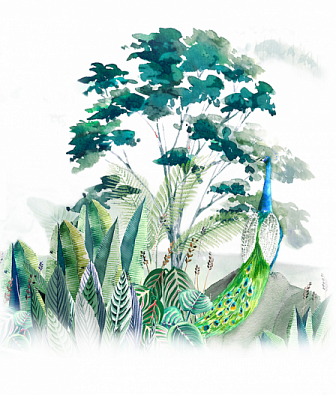 ���� Marburg Bombay 30165