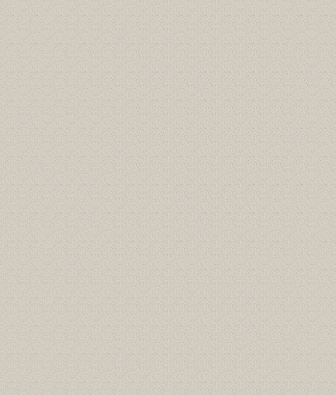  Zambaiti Philipp Plein Z80059