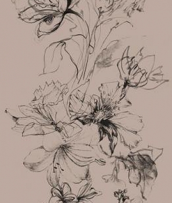 ���� Marburg Crush Motion 63493