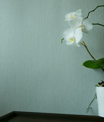 ���� Hohenberger Epic 63546