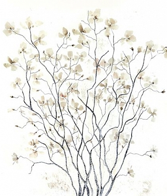 ���� Wall & deco 2016 WDRA1601