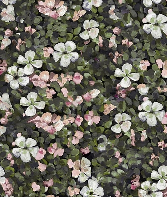 ���� Coordonne Naturae 9500002N