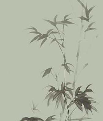 ���� Marburg Crush Motion 63480