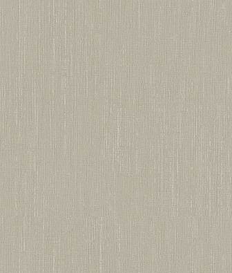 ���� Brewster Evolution 3 BWE03606