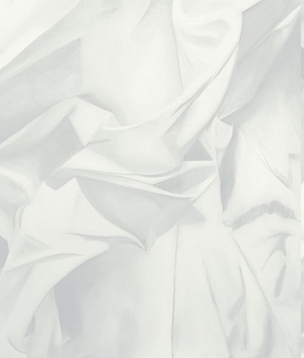 ���� Mayflower  Aerial fj100216