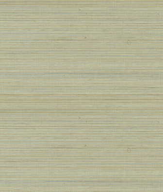 ���� Brewster Signature 3 BSS101A