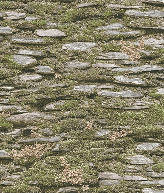 ���� Aura Evergreen 7336