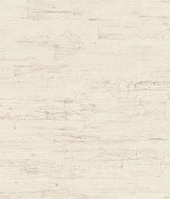 ���� Rasch Curiosity 537000