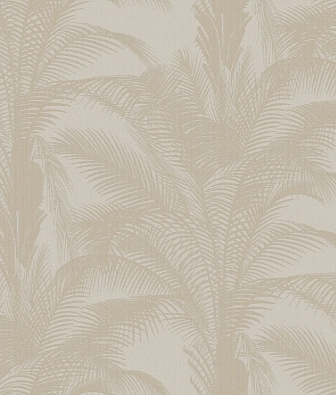 ���� Brewster Evolution 3 BWE03302