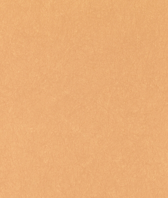 ���� Bernardo Bartalucci Legend 5068-60