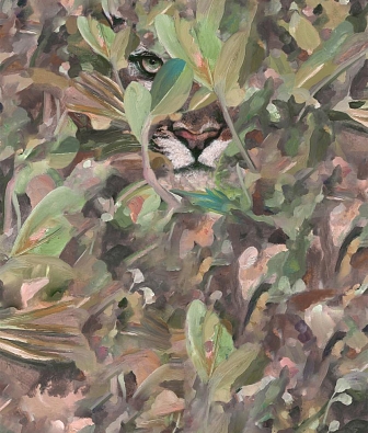 ���� Coordonne Naturae 9500011V