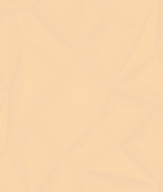  Loymina Timeless TS10 003