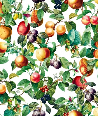 ���� Marburg Gloockler Pompoos Provence 35632