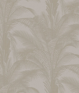 ���� Brewster Evolution 3 BWE03306