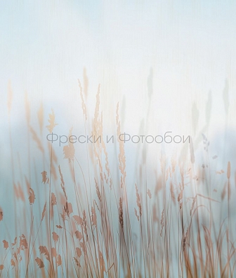  Affresco   ID136336