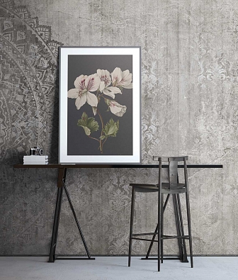 ���� KT-Exclusive Vanilla Lime 014198 OUTLAND