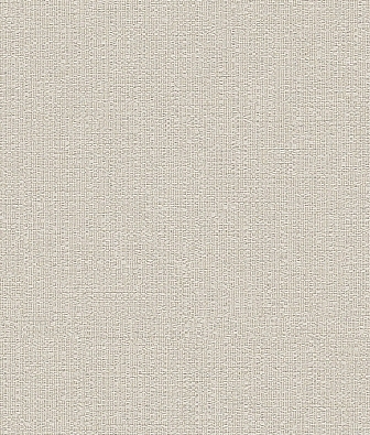 ���� Brewster Evolution 3 BWE03626