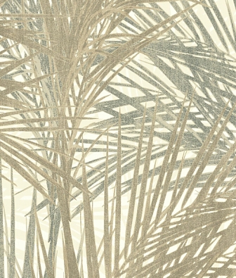 ���� Aura Zen 218742