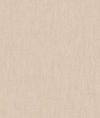 ���� Brewster Evolution 5 BWE05619