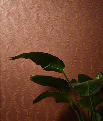 ���� Marburg Memento 32018